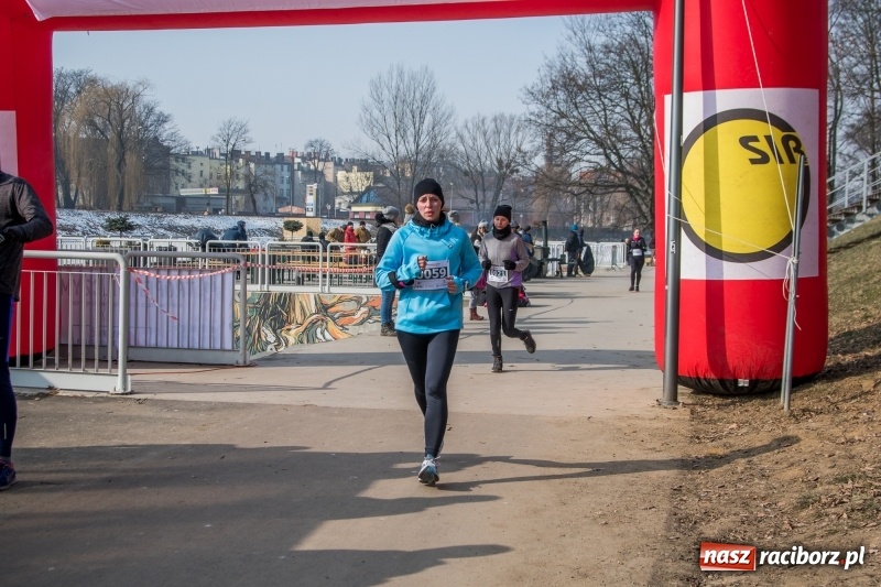 Zdjęcie w galerii na portalu naszraciborz.pl: Bieg wilczym tropem Racibórz 2018. FOTOREPORTAŻ  wiadomości z regionu
