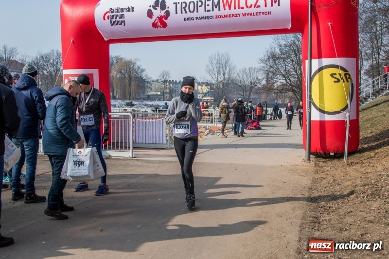 Zdjęcie w galerii na portalu naszraciborz.pl: Bieg wilczym tropem Racibórz 2018. FOTOREPORTAŻ  wiadomości z regionu