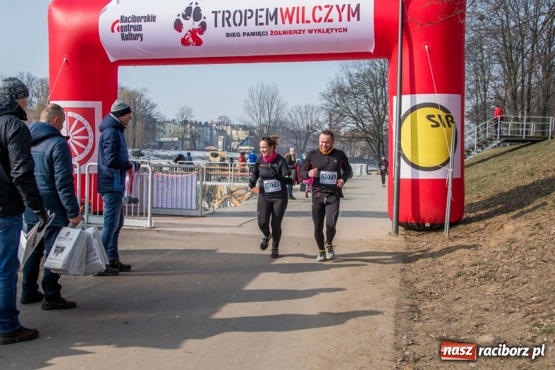Zdjęcie w galerii na portalu naszraciborz.pl: Bieg wilczym tropem Racibórz 2018. FOTOREPORTAŻ  wiadomości z regionu