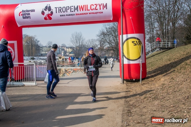 Zdjęcie w galerii na portalu naszraciborz.pl: Bieg wilczym tropem Racibórz 2018. FOTOREPORTAŻ  wiadomości z regionu