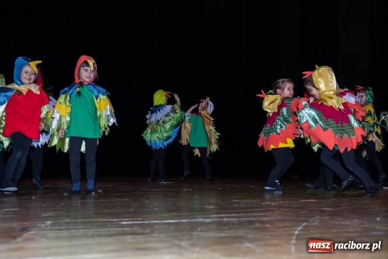 Zdjęcie w galerii na portalu naszraciborz.pl: Ptasie opowieści. Premiera przedstawienia grupy Małe Miodzio na deskach RCK  wiadomości z regionu