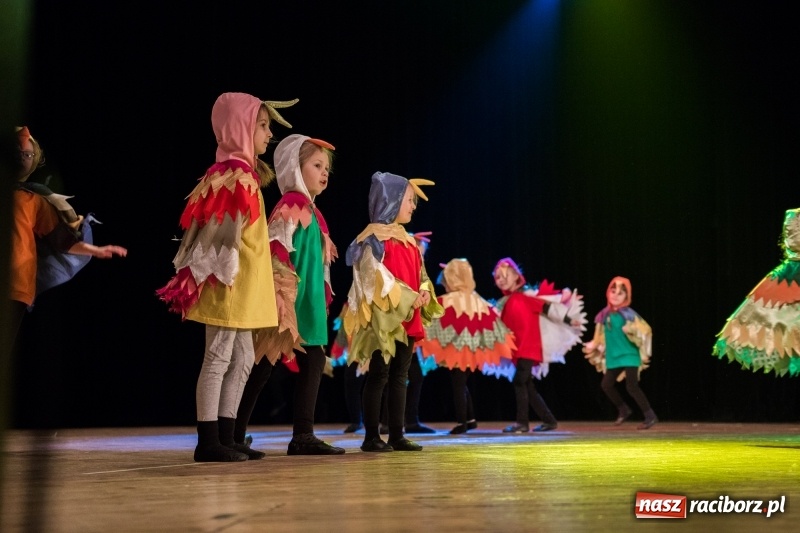 Zdjęcie w galerii na portalu naszraciborz.pl: Ptasie opowieści. Premiera przedstawienia grupy Małe Miodzio na deskach RCK  wiadomości z regionu