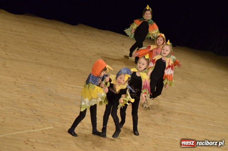 Zdjęcie w galerii na portalu naszraciborz.pl: Ptasie opowieści. Premiera przedstawienia grupy Małe Miodzio na deskach RCK  wiadomości z regionu