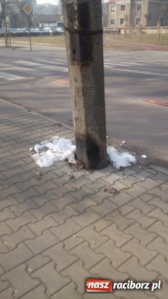 Zdjęcie w galerii na portalu naszraciborz.pl: Czytelniczka alarmuje. Na Warszawskiej może dojść do nieszczęścia wiadomości z regionu