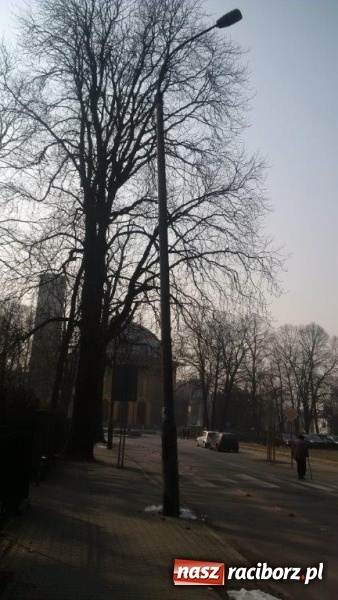 Zdjęcie w galerii na portalu naszraciborz.pl: Czytelniczka alarmuje. Na Warszawskiej może dojść do nieszczęścia wiadomości z regionu