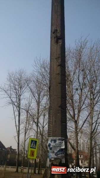 Zdjęcie w galerii na portalu naszraciborz.pl: Czytelniczka alarmuje. Na Warszawskiej może dojść do nieszczęścia wiadomości z regionu