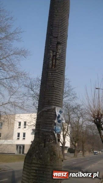 Zdjęcie w galerii na portalu naszraciborz.pl: Czytelniczka alarmuje. Na Warszawskiej może dojść do nieszczęścia wiadomości z regionu