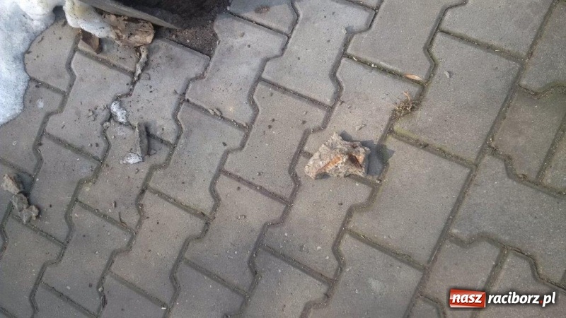 Zdjęcie w galerii na portalu naszraciborz.pl: Czytelniczka alarmuje. Na Warszawskiej może dojść do nieszczęścia wiadomości z regionu