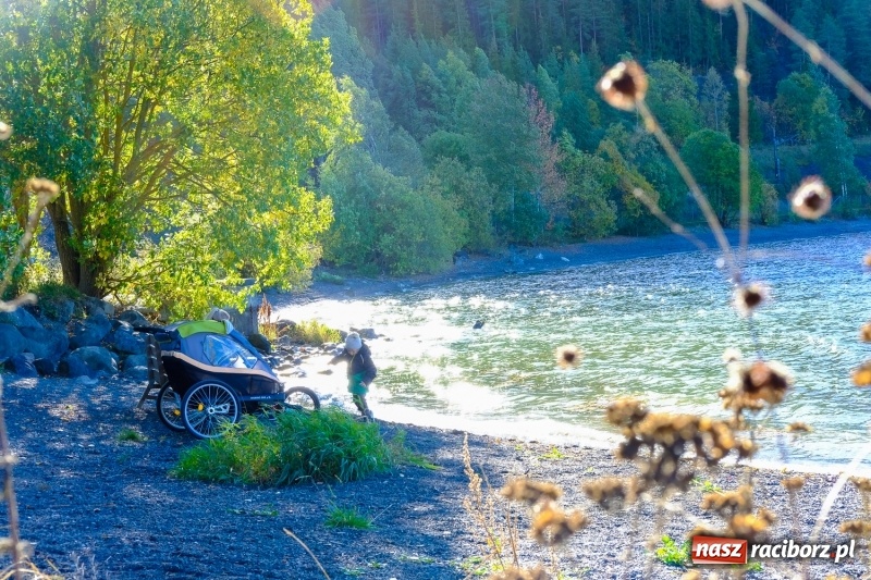Zdjęcie w galerii na portalu naszraciborz.pl: Bezpieczne przewożenie dziecka na rowerze? Postaw na przyczepkę od CampBox! wiadomości z regionu