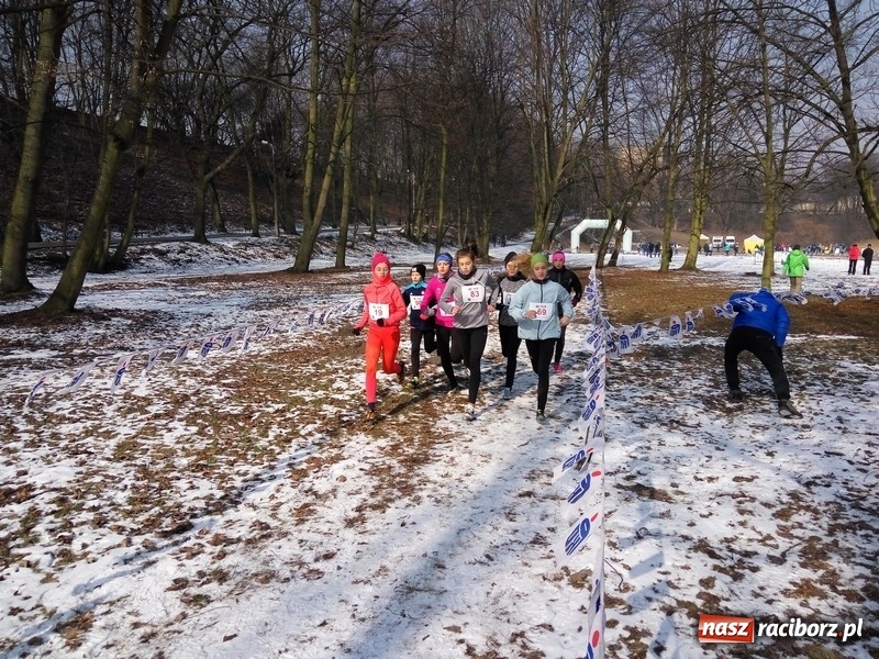 Zdjęcie w galerii na portalu naszraciborz.pl: Biegi przełajowe. Patrycja Rębisz wicemistrzynią Śląska wiadomości z regionu
