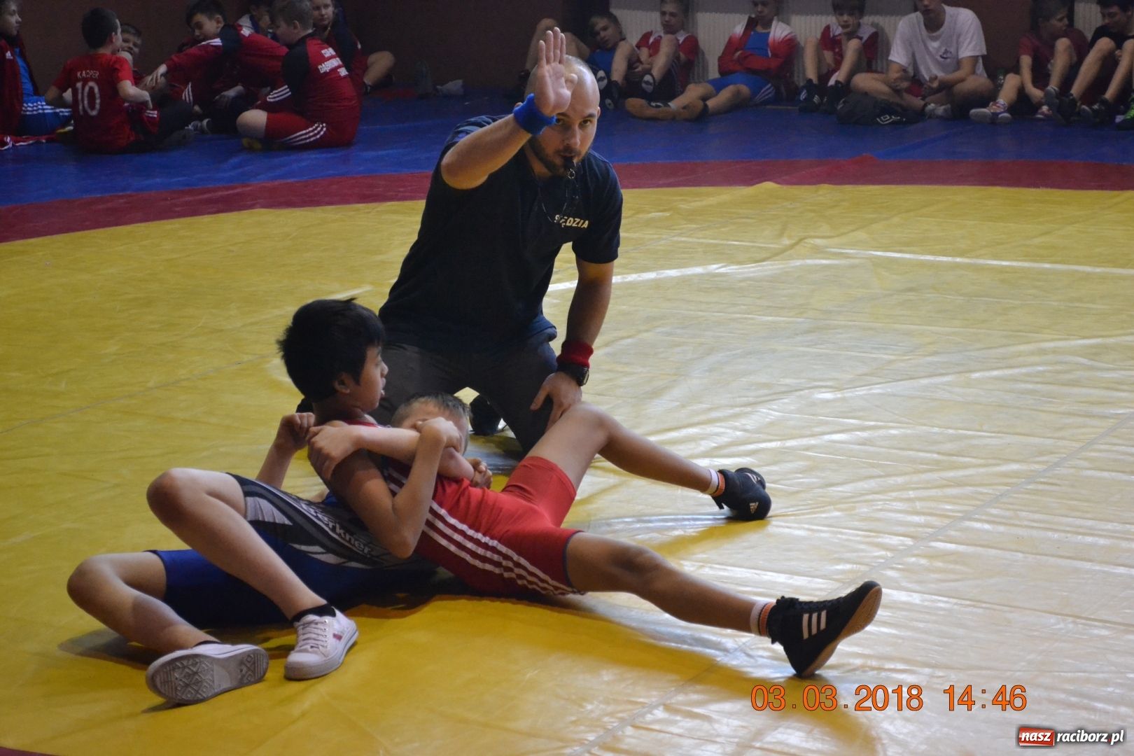 Zdjęcie w galerii na portalu naszraciborz.pl: Dobry start zapaśników Unii na Mistrzostwach Śląska wiadomości z regionu