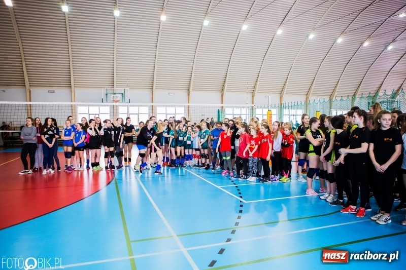 Zdjęcie w galerii na portalu naszraciborz.pl: Powiatowy turniej dwójek i trójek siatkarskich w Krzanowicach wiadomości z regionu