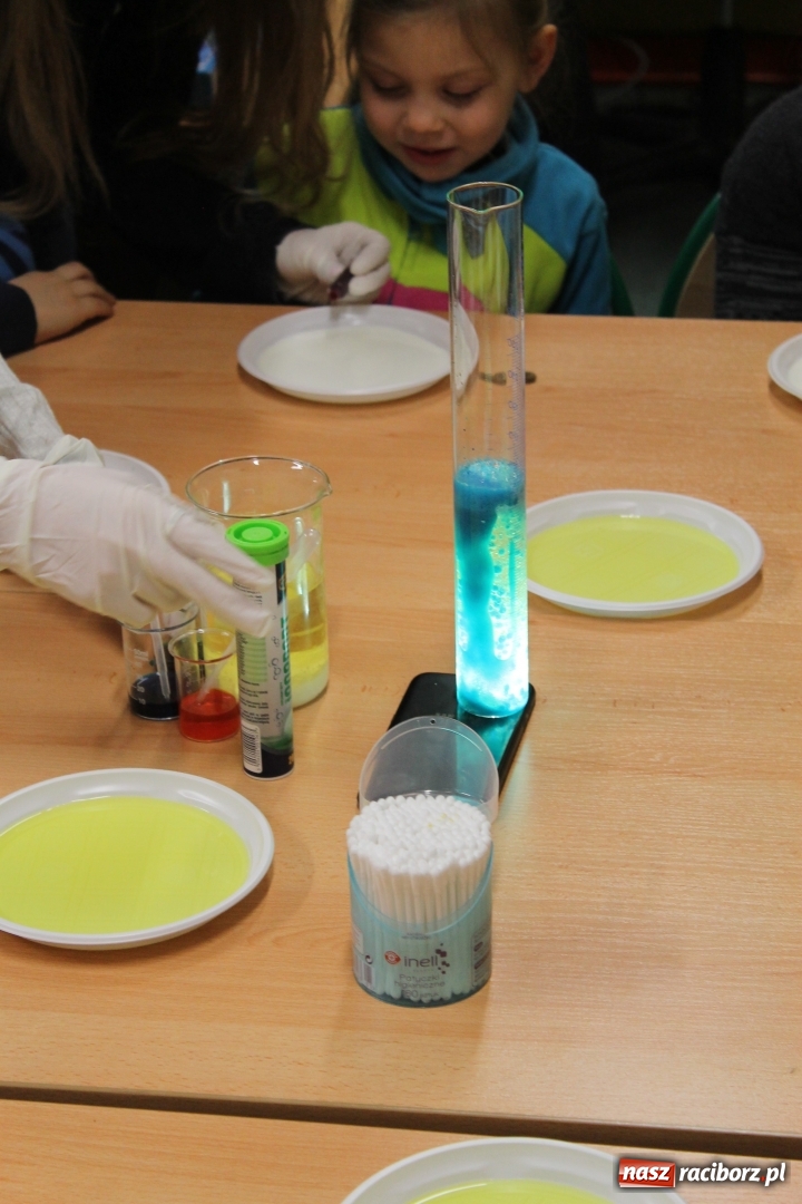 Zdjęcie w galerii na portalu naszraciborz.pl: Czym jest przedwiośnie, czyli Dzień Otwarty w szkole na Płoni wiadomości z regionu