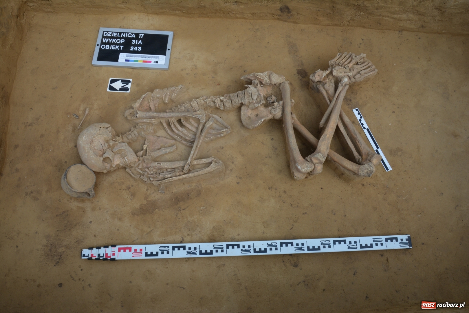 Zdjęcie w galerii na portalu naszraciborz.pl: Odkrycia archeologiczne w Kornicach i Raciborzu Starej Wsi elementem wielkiego międzynarodowego projektu  wiadomości z regionu