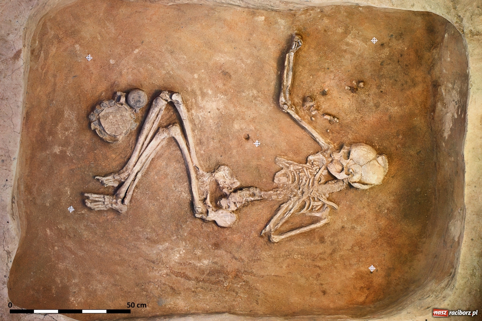 Zdjęcie w galerii na portalu naszraciborz.pl: Odkrycia archeologiczne w Kornicach i Raciborzu Starej Wsi elementem wielkiego międzynarodowego projektu  wiadomości z regionu