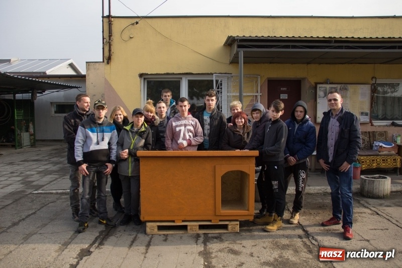 Zdjęcie w galerii na portalu naszraciborz.pl: Młodzież kuźniańskiego MOW i raciborskiej szkoły dla niesłyszących przekazała budę dla raciborskiego schroniska wiadomości z regionu