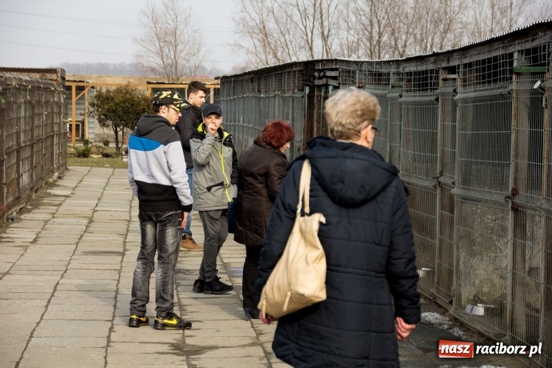 Zdjęcie w galerii na portalu naszraciborz.pl: Młodzież kuźniańskiego MOW i raciborskiej szkoły dla niesłyszących przekazała budę dla raciborskiego schroniska wiadomości z regionu
