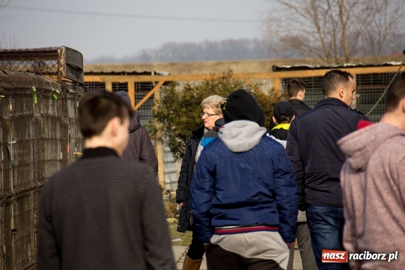 Zdjęcie w galerii na portalu naszraciborz.pl: Młodzież kuźniańskiego MOW i raciborskiej szkoły dla niesłyszących przekazała budę dla raciborskiego schroniska wiadomości z regionu