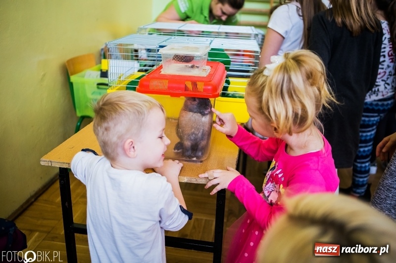 Zdjęcie w galerii na portalu naszraciborz.pl: Kiermasz Wielkanocny w Borucinie wiadomości z regionu