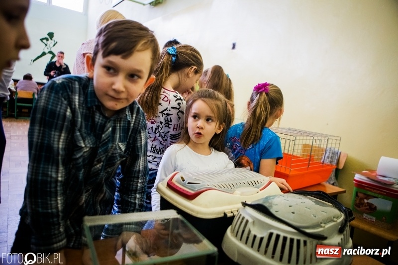 Zdjęcie w galerii na portalu naszraciborz.pl: Kiermasz Wielkanocny w Borucinie wiadomości z regionu