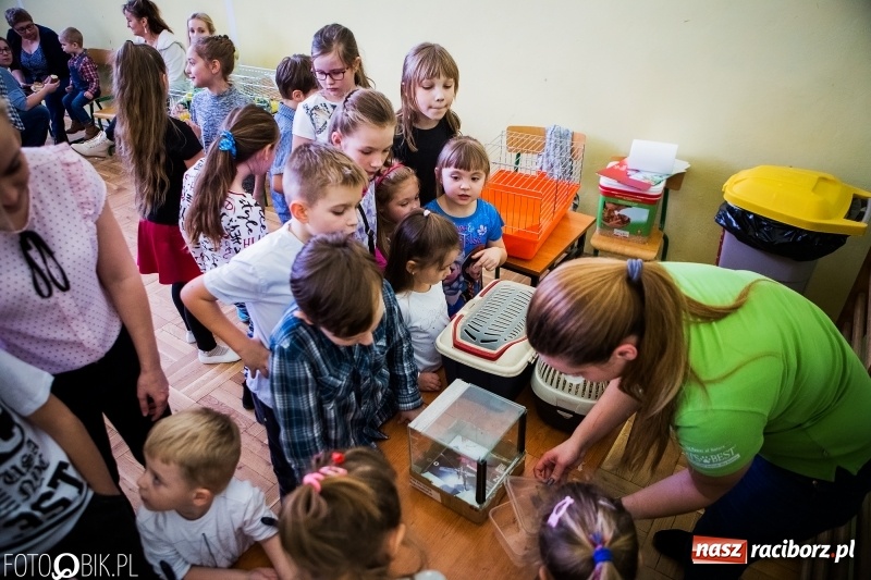 Zdjęcie w galerii na portalu naszraciborz.pl: Kiermasz Wielkanocny w Borucinie wiadomości z regionu