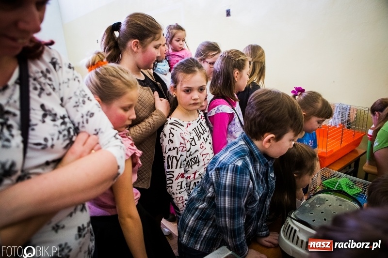 Zdjęcie w galerii na portalu naszraciborz.pl: Kiermasz Wielkanocny w Borucinie wiadomości z regionu