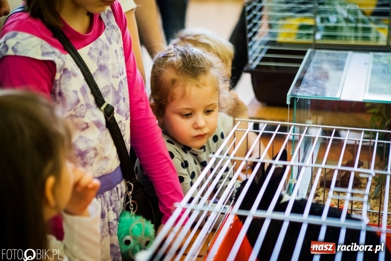 Zdjęcie w galerii na portalu naszraciborz.pl: Kiermasz Wielkanocny w Borucinie wiadomości z regionu
