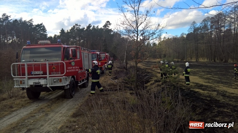 Zdjęcie w galerii na portalu naszraciborz.pl: Pożar łąki, przeciekający dach i zagrożenie tlenkiem węgla w mieszkaniu przy Opawskiej wiadomości z regionu