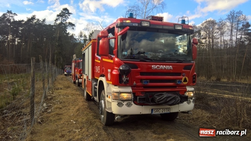 Zdjęcie w galerii na portalu naszraciborz.pl: Pożar łąki, przeciekający dach i zagrożenie tlenkiem węgla w mieszkaniu przy Opawskiej wiadomości z regionu