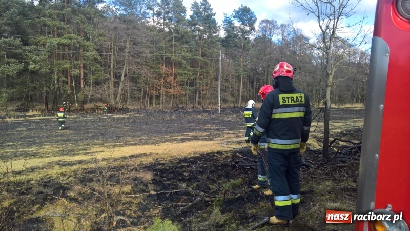 Zdjęcie w galerii na portalu naszraciborz.pl: Pożar łąki, przeciekający dach i zagrożenie tlenkiem węgla w mieszkaniu przy Opawskiej wiadomości z regionu