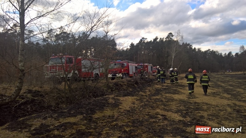 Zdjęcie w galerii na portalu naszraciborz.pl: Pożar łąki, przeciekający dach i zagrożenie tlenkiem węgla w mieszkaniu przy Opawskiej wiadomości z regionu