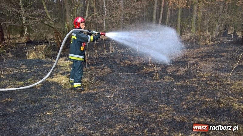 Zdjęcie w galerii na portalu naszraciborz.pl: Pożar łąki, przeciekający dach i zagrożenie tlenkiem węgla w mieszkaniu przy Opawskiej wiadomości z regionu