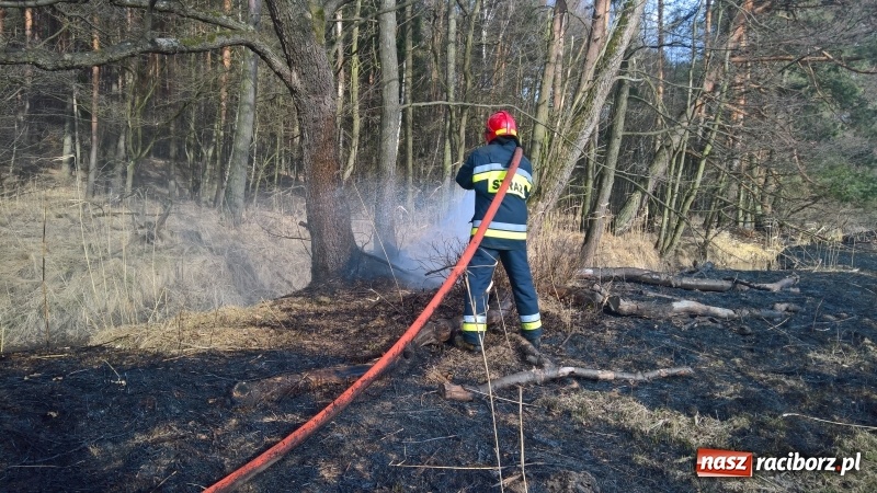 Zdjęcie w galerii na portalu naszraciborz.pl: Pożar łąki, przeciekający dach i zagrożenie tlenkiem węgla w mieszkaniu przy Opawskiej wiadomości z regionu