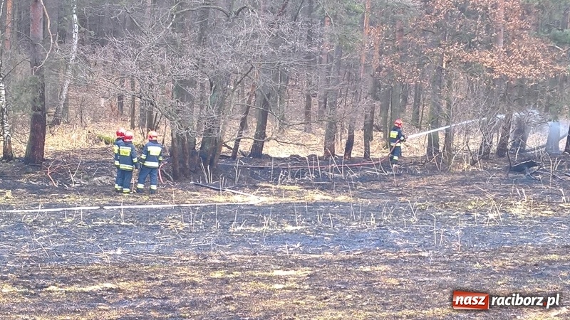 Zdjęcie w galerii na portalu naszraciborz.pl: Pożar łąki, przeciekający dach i zagrożenie tlenkiem węgla w mieszkaniu przy Opawskiej wiadomości z regionu