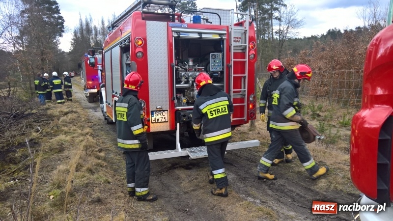 Zdjęcie w galerii na portalu naszraciborz.pl: Pożar łąki, przeciekający dach i zagrożenie tlenkiem węgla w mieszkaniu przy Opawskiej wiadomości z regionu