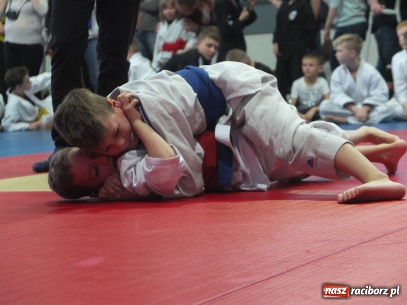 Zdjęcie w galerii na portalu naszraciborz.pl: Raciborzanie z Łamatora na katowickich matach  wiadomości z regionu