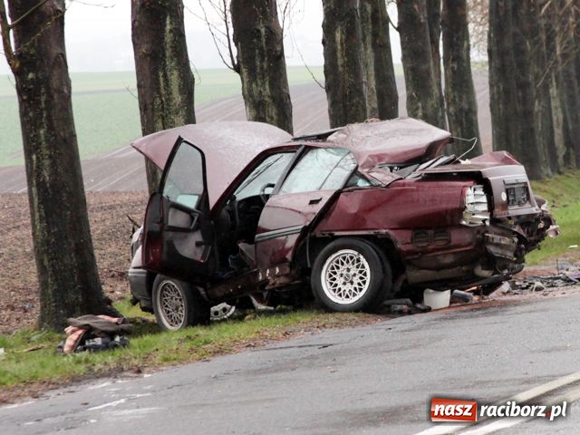 Zdjęcie w galerii na portalu naszraciborz.pl: Śmiertelny wypadek na DW 416 wiadomości z regionu