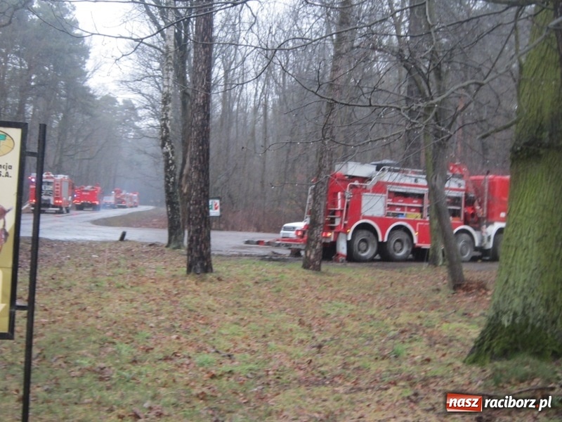 Zdjęcie w galerii na portalu naszraciborz.pl: Wypadek cysterny z siarką sparaliżował ruch na trasie Racibórz-Rudy-Gliwice  wiadomości z regionu