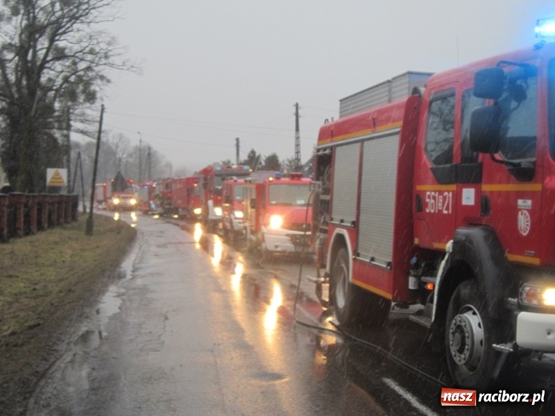 Zdjęcie w galerii na portalu naszraciborz.pl: Wypadek cysterny z siarką sparaliżował ruch na trasie Racibórz-Rudy-Gliwice  wiadomości z regionu