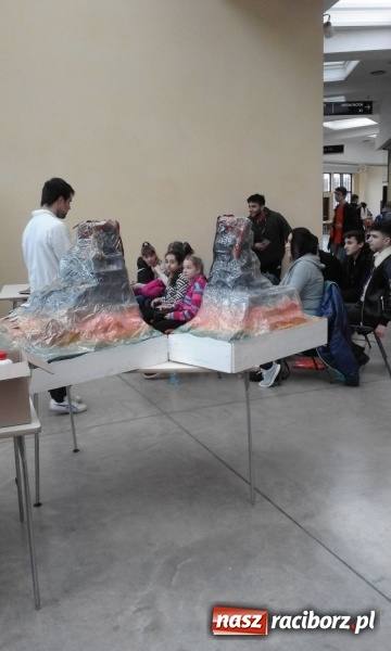 Zdjęcie w galerii na portalu naszraciborz.pl:  SP 1 na Ogólnopolskiej Olimpiadzie Kreatywności  wiadomości z regionu