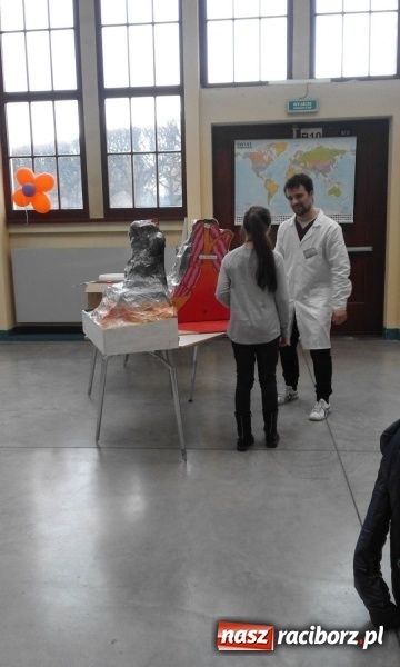 Zdjęcie w galerii na portalu naszraciborz.pl:  SP 1 na Ogólnopolskiej Olimpiadzie Kreatywności  wiadomości z regionu