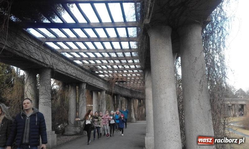 Zdjęcie w galerii na portalu naszraciborz.pl:  SP 1 na Ogólnopolskiej Olimpiadzie Kreatywności  wiadomości z regionu