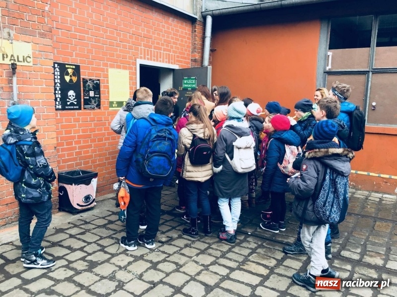 Zdjęcie w galerii na portalu naszraciborz.pl:  SP 1 na Ogólnopolskiej Olimpiadzie Kreatywności  wiadomości z regionu