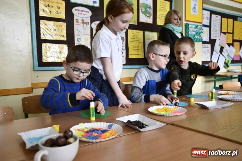 Zdjęcie w galerii na portalu naszraciborz.pl: Szkoła Podstawowa nr 18 otworzyła swoje drzwi dla najmłodszych. Powstanie klasa małych zapaśników? wiadomości z regionu