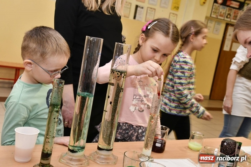 Zdjęcie w galerii na portalu naszraciborz.pl: Szkoła Podstawowa nr 18 otworzyła swoje drzwi dla najmłodszych. Powstanie klasa małych zapaśników? wiadomości z regionu