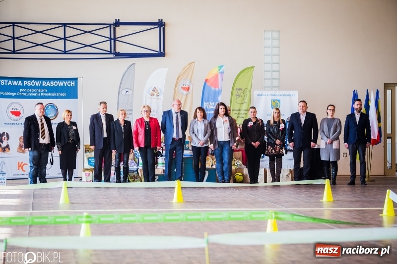 Zdjęcie w galerii na portalu naszraciborz.pl: W Rudach trwa Wystawa Psów Rasowych wiadomości z regionu