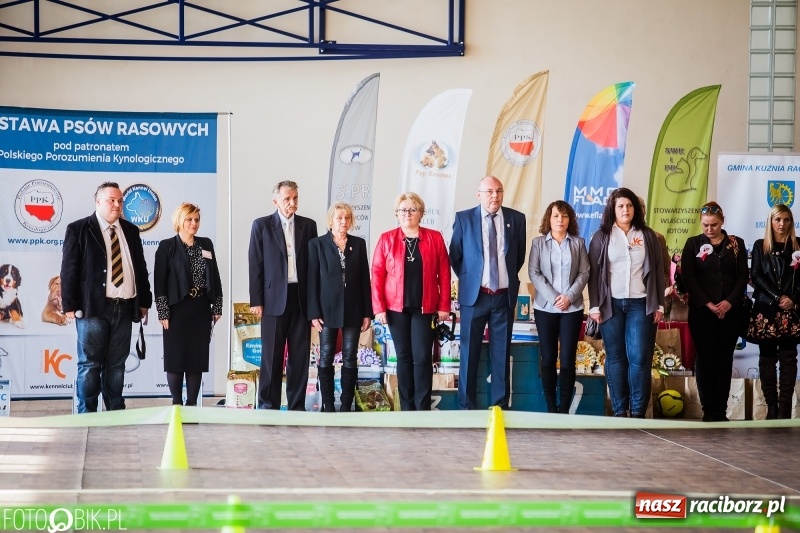 Zdjęcie w galerii na portalu naszraciborz.pl: W Rudach trwa Wystawa Psów Rasowych wiadomości z regionu