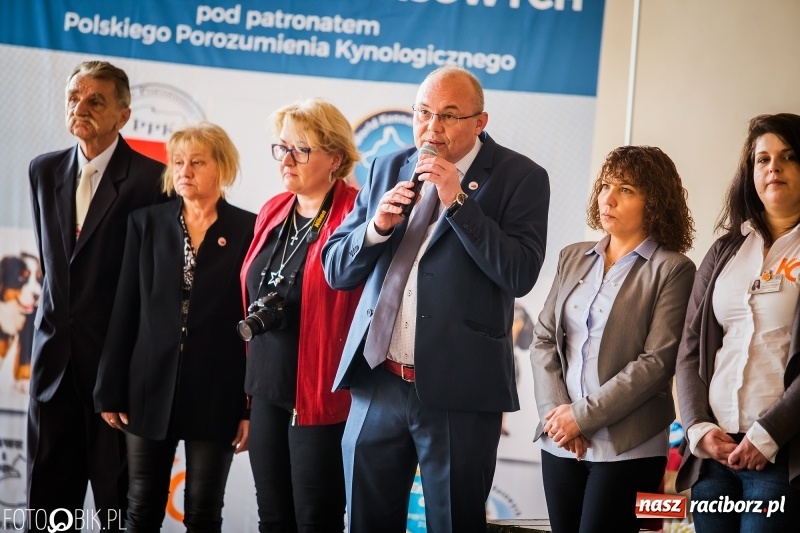 Zdjęcie w galerii na portalu naszraciborz.pl: W Rudach trwa Wystawa Psów Rasowych wiadomości z regionu