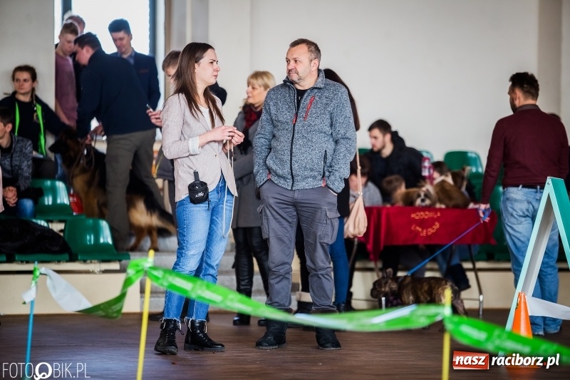 Zdjęcie w galerii na portalu naszraciborz.pl: W Rudach trwa Wystawa Psów Rasowych wiadomości z regionu