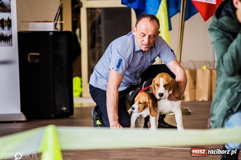 Zdjęcie w galerii na portalu naszraciborz.pl: W Rudach trwa Wystawa Psów Rasowych wiadomości z regionu